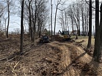 Land Clearing